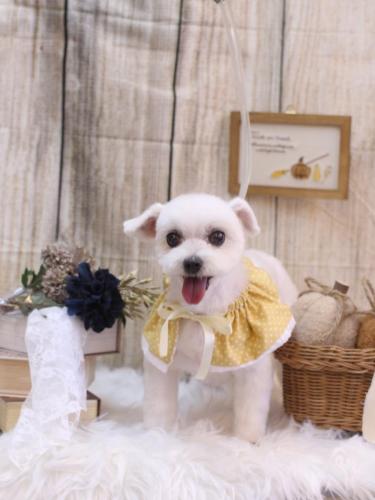 20241002うららちゃん